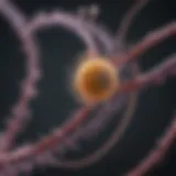 A detailed diagram illustrating the CRISPR gene editing mechanism.