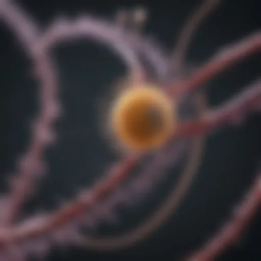 A detailed diagram illustrating the CRISPR gene editing mechanism.