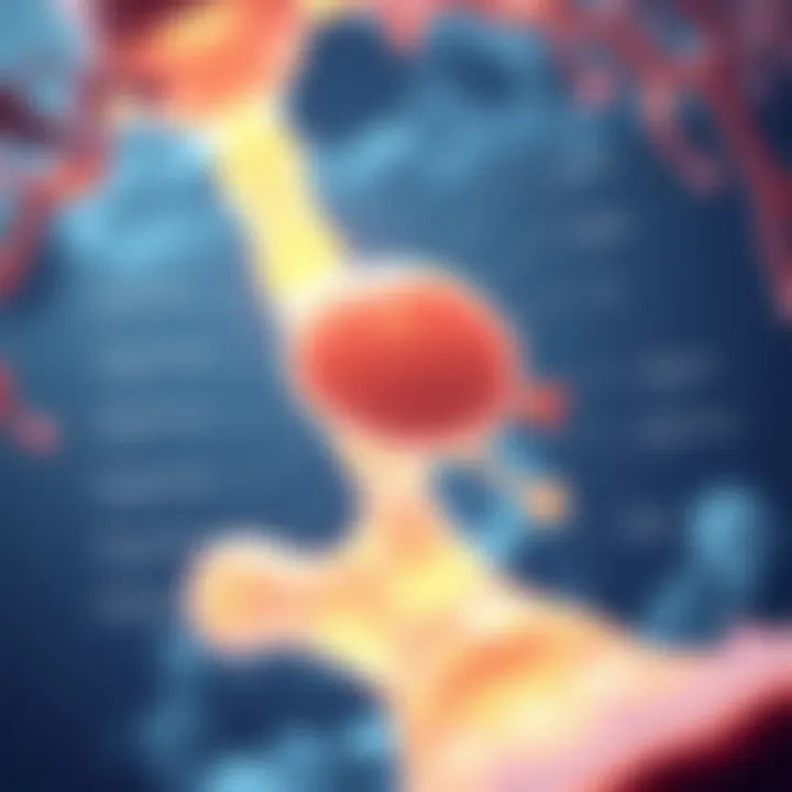 Detailed diagram illustrating the biological effects of cryoultrasound therapy on tissues