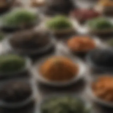 Culinary Uses of Dehydrated Seaweed Dehydrated seaweed in various culinary dishes