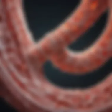 Diagnostic Approaches to Arteriosclerosis Calcification Diagnostic approaches for arteriosclerosis calcification