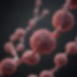 Diagram illustrating genetic markers linked to cancer types
