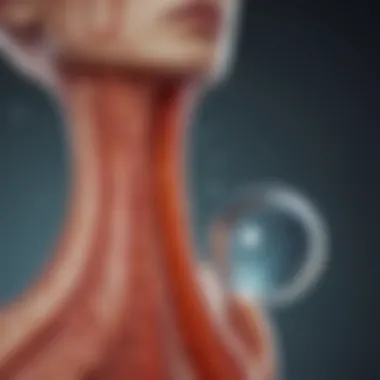 Hydration and Kidney Function Illustration depicting the kidneys with water droplets symbolizing hydration