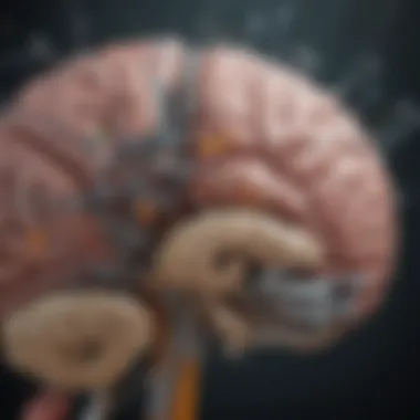 Mechanism of Action of TMS Diagram showing the mechanism of action of TMS in the brain.