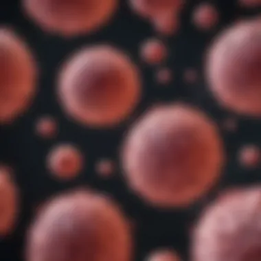 Graph illustrating eosinophil activity in different cancers