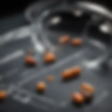 Safety Guidelines for Melatonin Supplementation Safety guidelines for melatonin supplementation