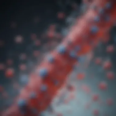 Visualization of Fc tagged proteins in immunological assays