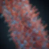 Structural representation of Fc tagged proteins highlighting their unique features