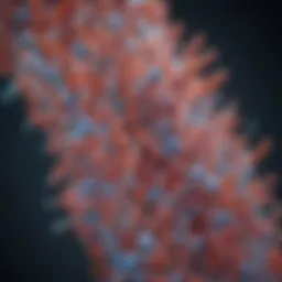 Structural representation of Fc tagged proteins highlighting their unique features