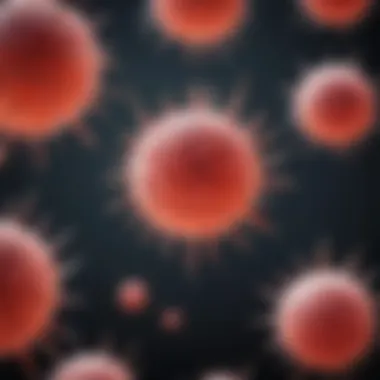 Mesenchymal Cell Markers in Stem Cell Research Visual representation of mesenchymal cell markers in stem cell biology.