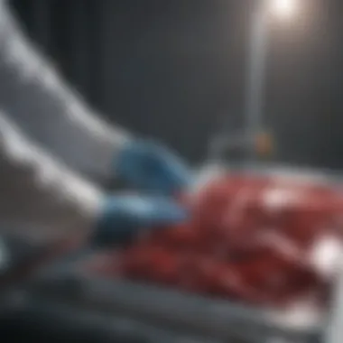 Ensuring Quality and Safety in Blood Transport Healthcare professional preparing blood for transport