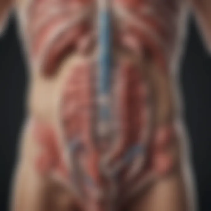 Illustration showcasing the anatomy of the colon and its stimulation points