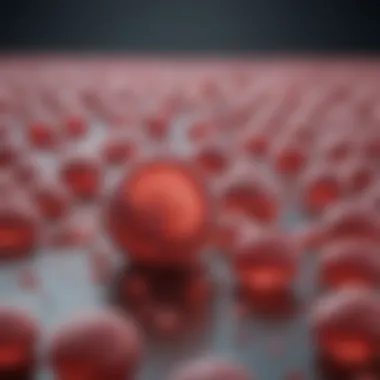 Applications of Endothelial Cells in Drug Testing Illustration showcasing applications of endothelial cells in drug testing