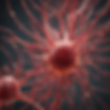 Visualization of Endothelial Cell Interactions Visualization of endothelial cell interactions with other cell types