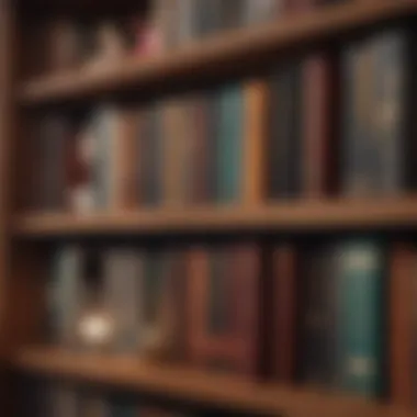 A modern bookshelf filled with contemporary erotic literature