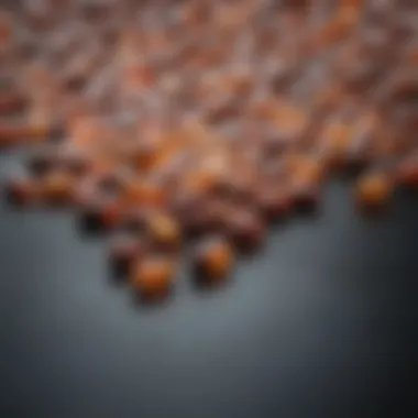 A close-up view of vitamin supplements highlighting their importance in hypothyroidism management