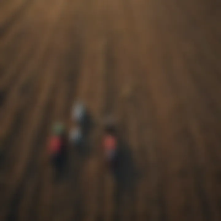 Aerial view of diverse farming systems