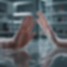 High Five cell line cultured in a laboratory setting