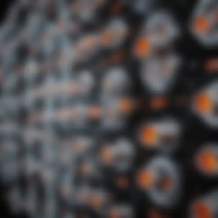 Schematic representation of ionic arrays in biological systems.