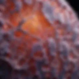 Histological section of mesenchymal tissue showcasing cellular architecture