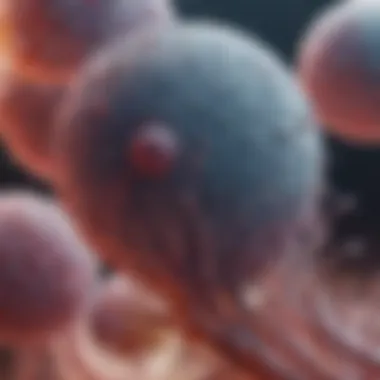 Mesenchymal Stem Cells in Regenerative Applications Schematic representation of mesenchymal stem cells in regenerative medicine