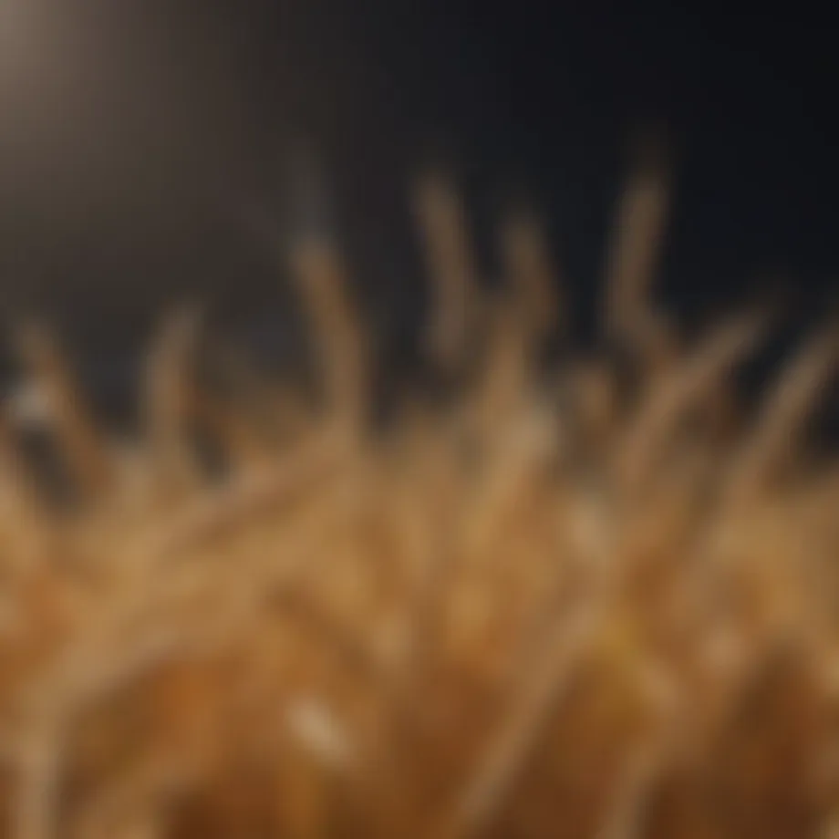 Nutritional composition of raw wheat germ