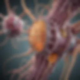 Illustration depicting the cellular mechanism of spinal muscular atrophy