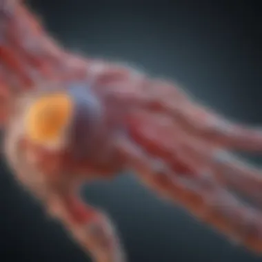 Graphic representation of biological pathways involved in rheumatoid arthritis