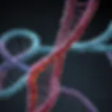 Visualization of SYBR Safe dye binding to DNA