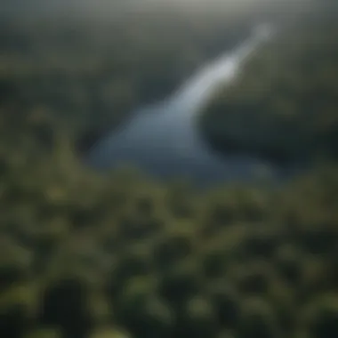 Aerial View of the Amazon Rainforest Aerial view showcasing the vastness of the Amazon rainforest