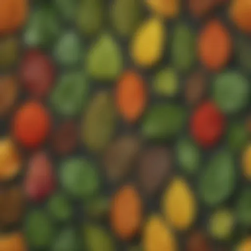 Illustration depicting the various leaf shapes and their respective indices in a detailed comparison