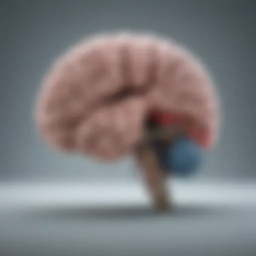 Illustration depicting the brain's response to pain and anxiety