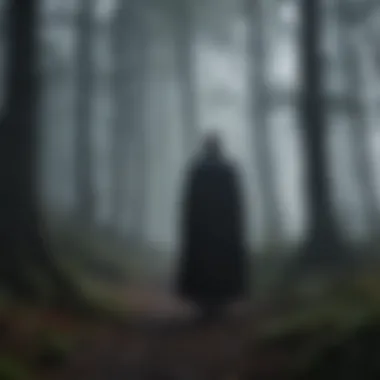 A shadowy figure standing at the edge of a foggy forest.