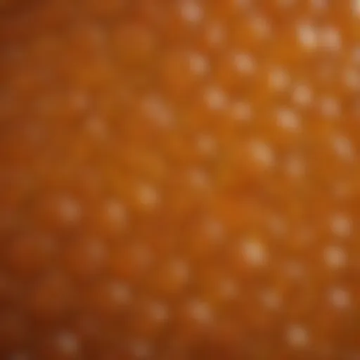 Close-up view of Manuka honey showcasing its rich texture and color