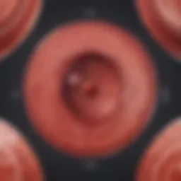 Illustration depicting the phases of the menstrual cycle