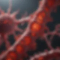 Visual representation of myeloma cellular pathology