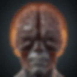 An MRI scan of a brain showing normal results despite patient symptoms.