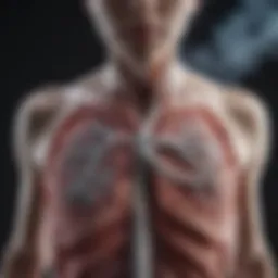 A visual representation of the carcinogenic effects of smoking on lung tissue