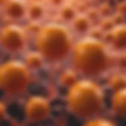 Molecular structure of Vitamin C and its role in cellular function