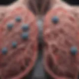 Illustration depicting various types of lung infections