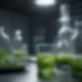 Vibrant algae cultures in a laboratory setting