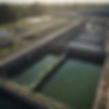 A wastewater treatment facility utilizing algae technology