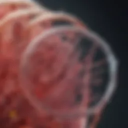 Cutting-edge biomaterials used in tissue engineering applications