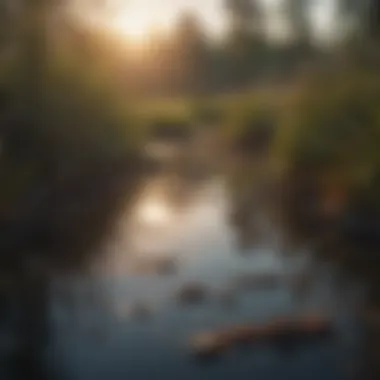 Environmental Impact on Wetlands The impact of environmental changes on wetland habitats