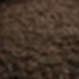 A close-up view of fermented pu erh tea leaves showcasing their texture and color.