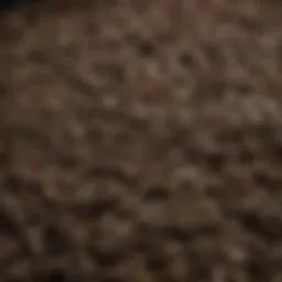 A close-up view of fermented pu erh tea leaves showcasing their texture and color.