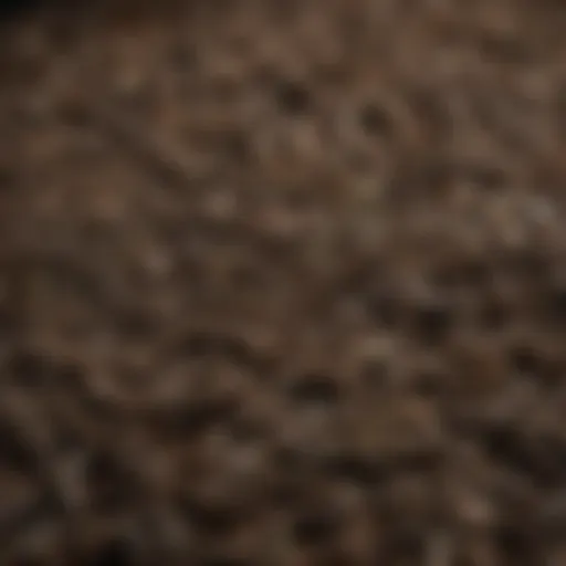 A close-up view of fermented pu erh tea leaves showcasing their texture and color.