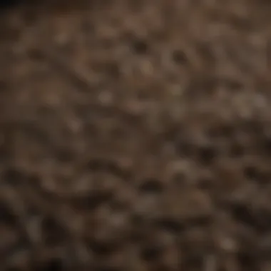 Textural Beauty of Fermented Pu Erh Tea Leaves A close-up view of fermented pu erh tea leaves showcasing their texture and color.