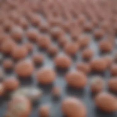 Overview of clinical applications of fluoxetine HCL