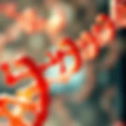 Genetic mapping of spinal muscular atrophy